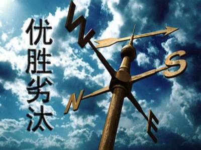 加密资产市场 危机还是重生？区块链技术的未来展望